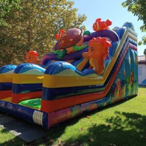 Toboganul gonflabil Nemo – Aventură subacvatică pentru exploratori curajoși! 🐠🌊