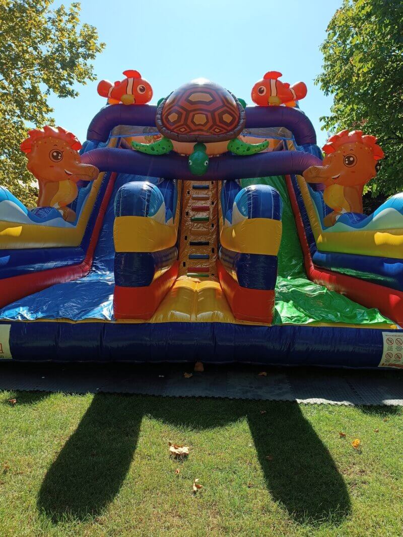 Toboganul gonflabil Nemo – Aventură subacvatică pentru exploratori curajoși! 🐠🌊