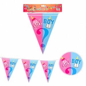 Stegulete Decorative pentru Petrecere Gender Reveal – Banner Boy or Girl